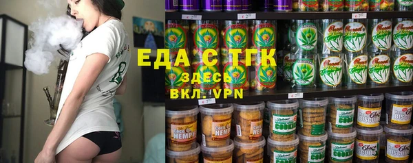 гидра Инта