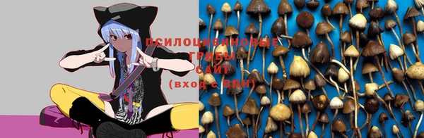 мескалин Балахна