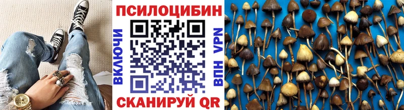 МЕГА ONION  где можно купить наркотик  Великие Луки  Псилоцибиновые грибы MAGIC MUSHROOMS 